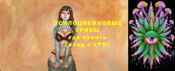 ALPHA-PVP Вяземский